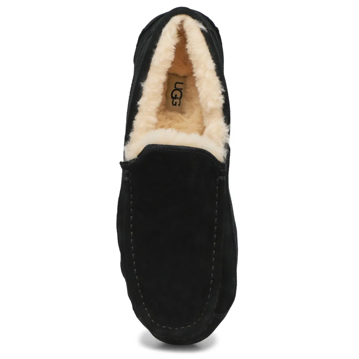UGG Ascot Men| Slippers & Moccasins