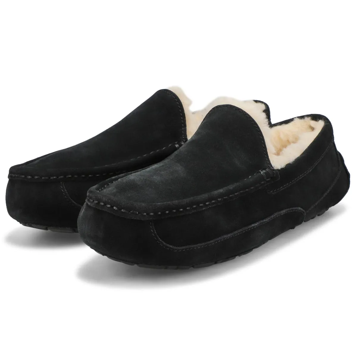 UGG Ascot Men| Slippers & Moccasins