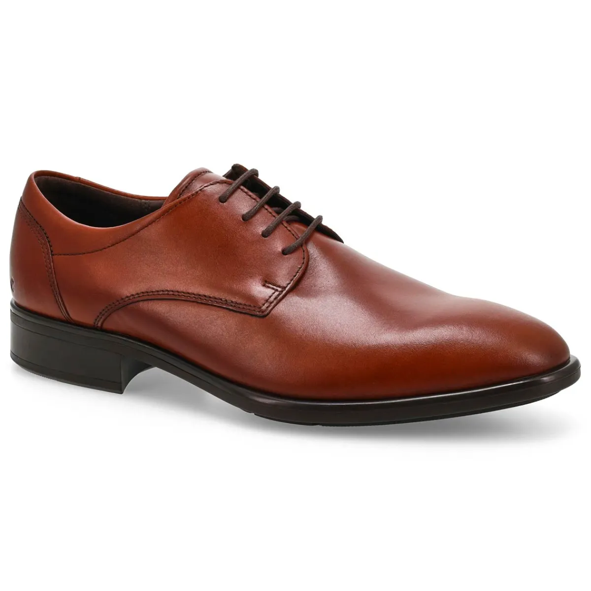 Ecco Citytray Men| Shoes