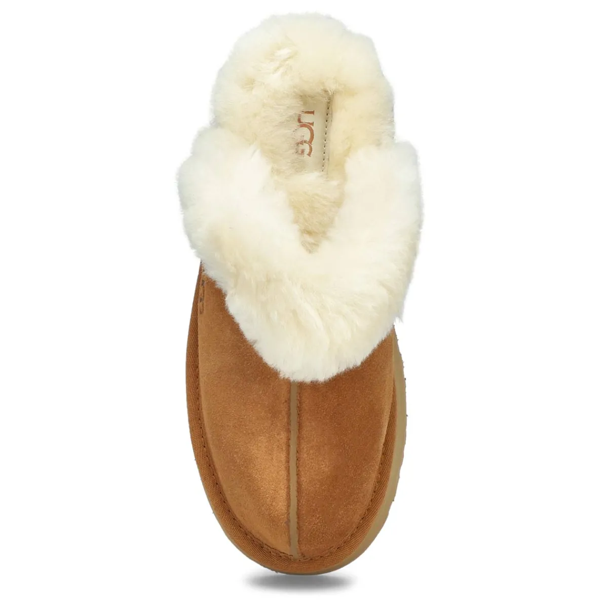 UGG Disquette Women|Women Slippers & Moccasins