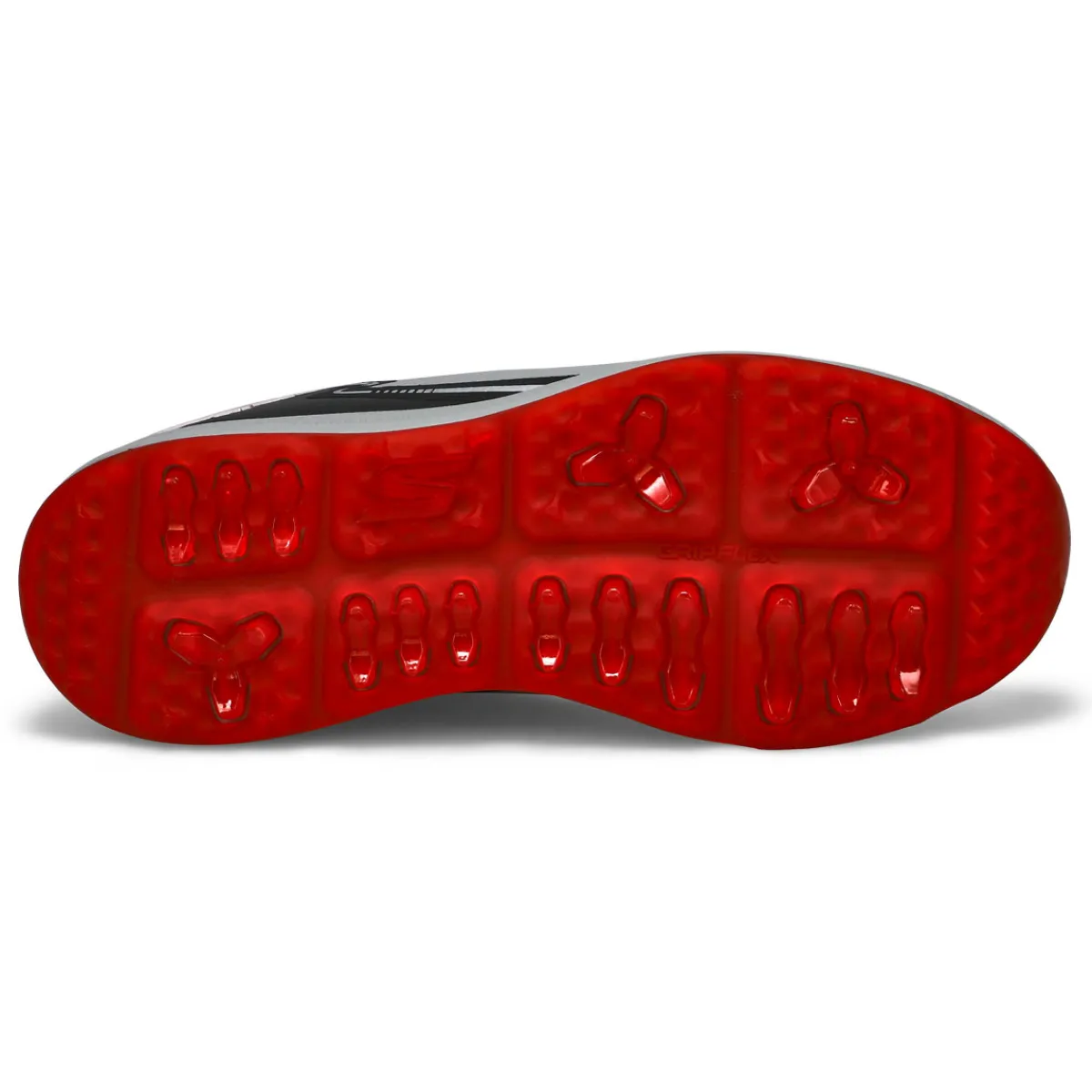 Skechers Go Golf Elite 6 Men| Golf Shoes