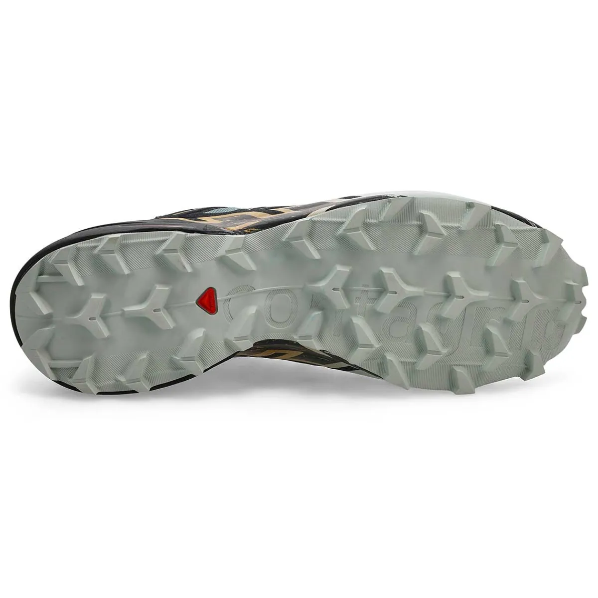 Salomon Speedcross 6 GTX Men| Performance Runners